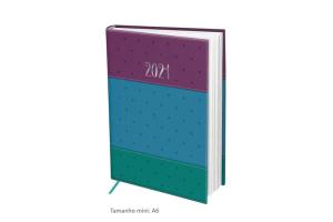 AGENDA EXECUTIVA MINI 2021 C/ 336 PAG 3079 POA DAC UND