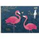 CADERNO DESENHO ESP C/D CARTOGRAFIA 80FLS FLAMINGO ALOHA 29.528 TILIBRA UND