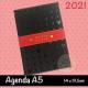 AGENDA EXECUTIVA 2021 C/ 336 PAG 3121 MICKEY DAC UND 