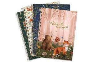 CADERNO C/D UNIV. 1 X 1 80 FLS LOVELAND 32295 TILIBRA UND