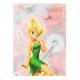 CADERNO BROCHURAO C/D TIPO ATA 96 FLS TINKER BELL 9255 FORONI UND